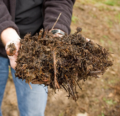 Kako se riješiti neugodnog mirisa komposta