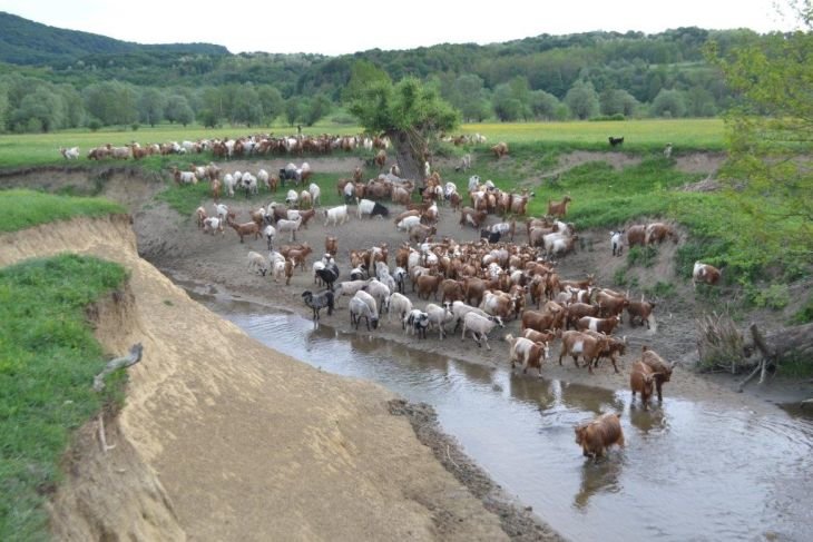 Život u skladu s prirodom u 