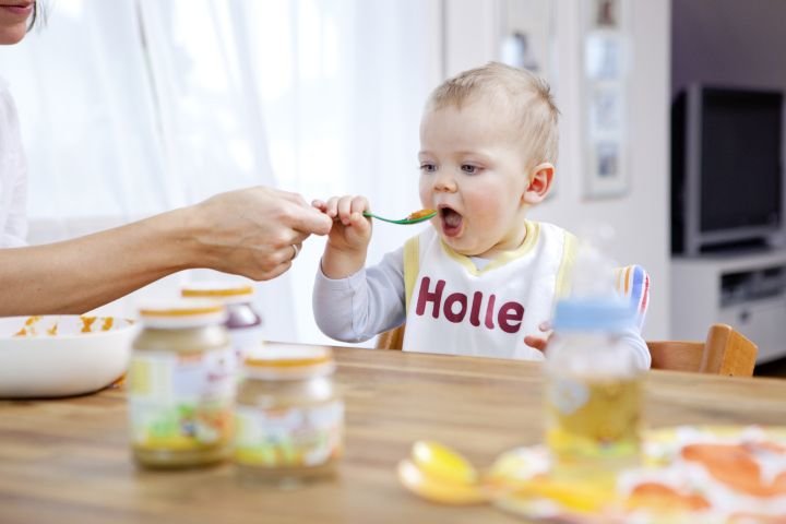 Holle - odgovornost za buduće generacije