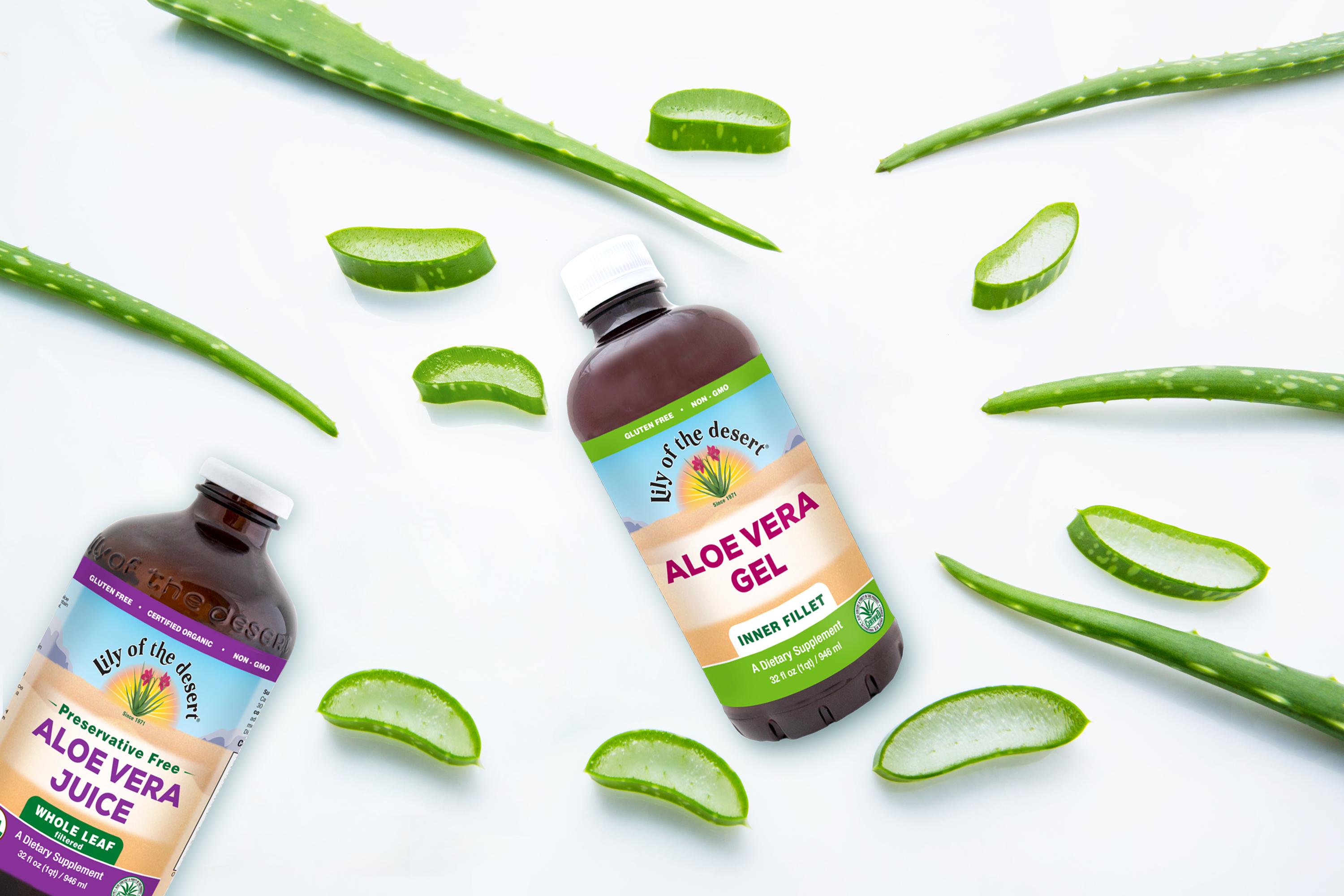 Aloe vera - jedan sastojak za potpunu regeneraciju | bio&bio
