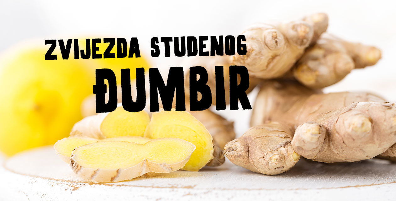 Zvijezda studenog: ĐUMBIR